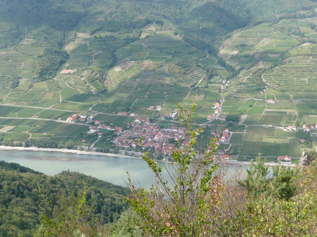 Weingut Langmayer Wösendorf Buitenkant foto