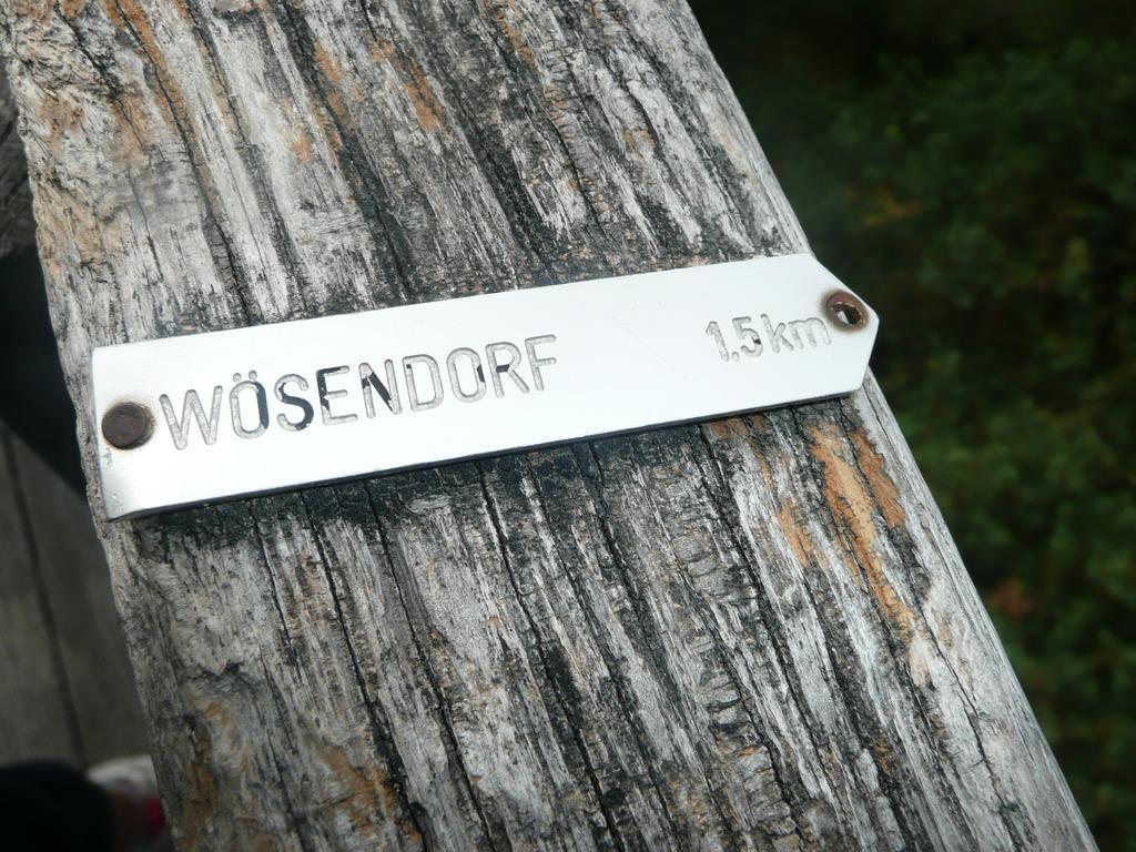 Weingut Langmayer Wösendorf Buitenkant foto