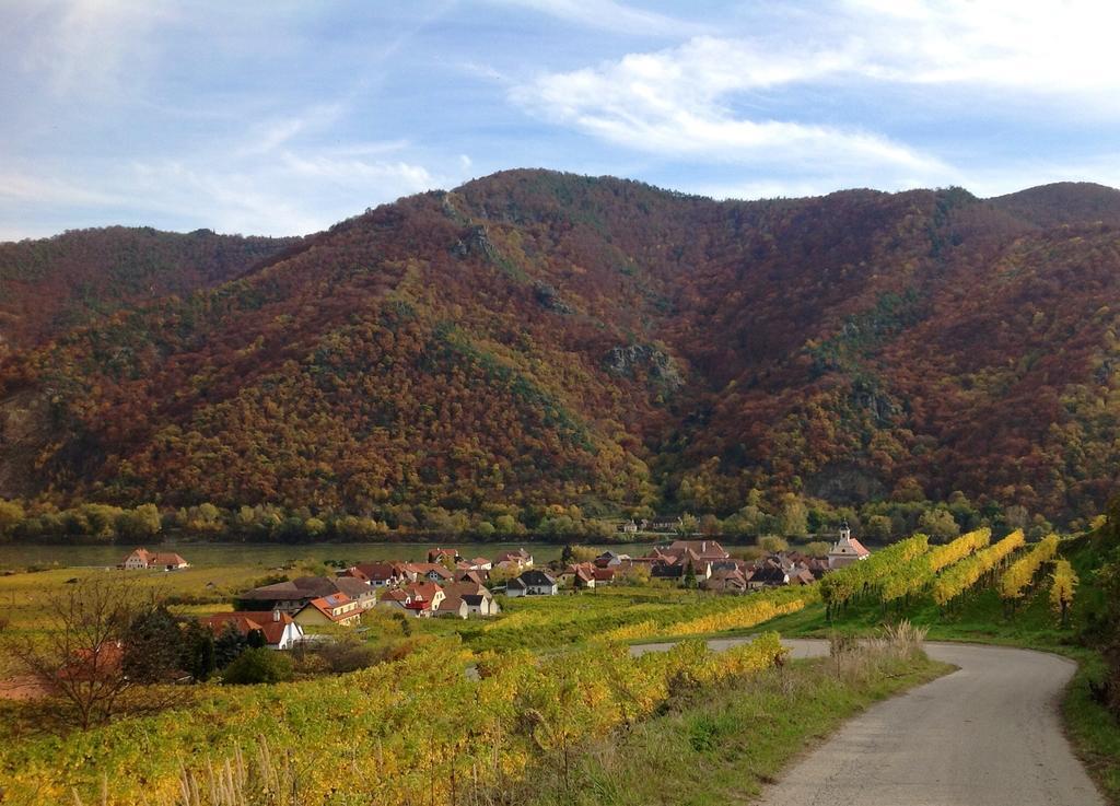 Weingut Langmayer Wösendorf Buitenkant foto