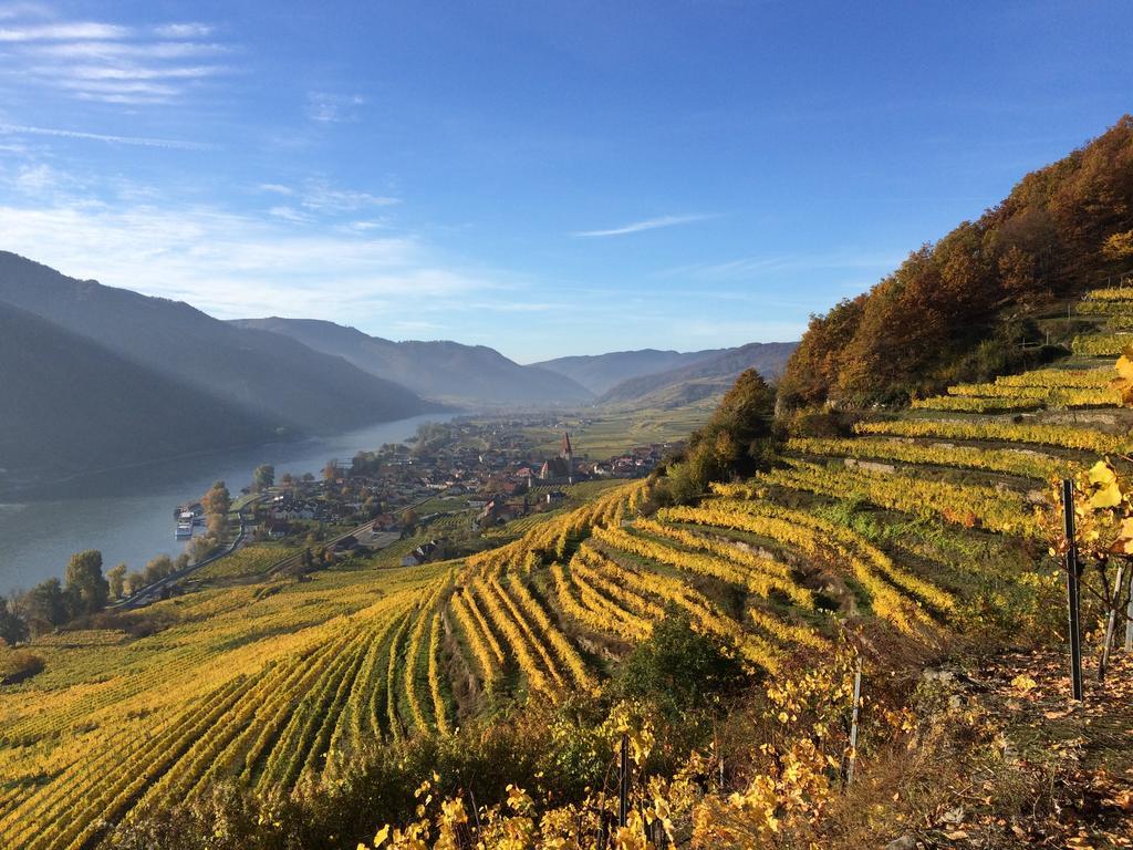 Weingut Langmayer Wösendorf Buitenkant foto